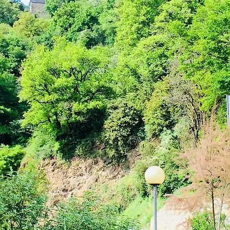 Les Du Moulin D Olt Lejlighed La Canourgue