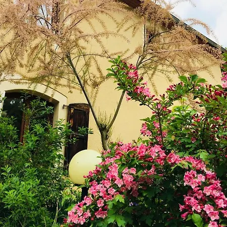 Les Du Moulin D Olt Διαμέρισμα La Canourgue