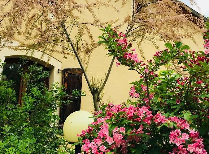 Les Du Moulin D Olt דירה לה קאנורג